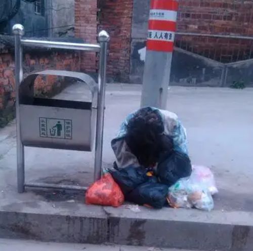 邻居假扮保姆鹊巢鸠占将房主赶出家门流落街头还要14万保姆费(图1)