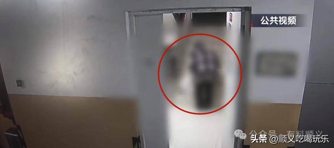 保姆在顺义被抓因涉嫌做出惊人之事(图4)