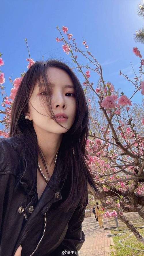 爱体育登录杜淳妻子吐槽保姆风波：边界感与舆论的碰撞